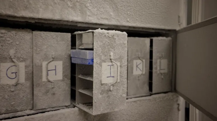 Mẫu vi sinh vật được bảo quản trong tủ đông tại Đại học Zurich, Thụy Sĩ. (Nguồn: Microbiota Vault Initiative)