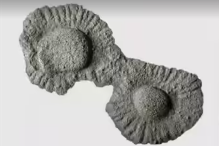 Lò phản ứng hạt nhân tự nhiên Oklo. (Nguồn: Wikimedia Commons)