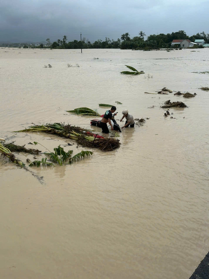 Theo báo cáo của Sở Nông Nghiệp và Môi trường, từ đêm 15 đến ngày 19/11, mưa lớn kéo dài trên địa bàn gây ra nhiều thiệt hại nặng nề. Báo cáo nhanh từ các địa phương cho biết, đợt mưa lũ này đã khiến 1 người tại phường Sông Cầu tử vong. Về nhà ở, 8 căn nhà tại buôn Tơng Rang A, Tơng Rang B và thôn Ra Hăn (xã Yang Mao) bị sập đổ, cuốn trôi. Toàn tỉnh ghi nhận 22.938 lượt nhà bị ngập, 1.123 hộ bị cô lập. Có tới 7.765 hộ phải di dời khẩn cấp và hiện đã được sơ tán đến nơi an toàn. Chính quyền địa phương cảnh báo số nhà ngập nhiều khả năng còn tiếp tục tăng do mực nước vẫn dâng cao.