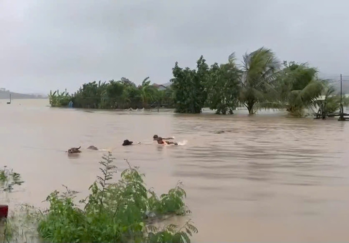 Do nước lũ lên quá nhanh, nhiều người bất chấp bơi qua dòng nước lũ.