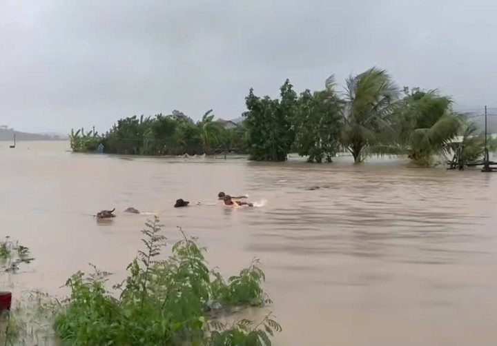 Trước tình hình các thủy điện xả lũ ở mức lịch sử, Chủ tịch UBND tỉnh Tạ Anh Tuấn đã ký công điện hỏa tốc gửi Thủy điện Sông Ba Hạ, Thuỷ điện Sông Hinh, Thuỷ điện Krông Hnăng đề nghị các hồ thủy điện vận hành lưu lượng xả nhỏ hơn lưu lượng đến để tích dần mực nước và giảm lũ về hạ du.