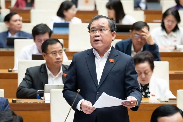 Afgevaardigde Nguyen Tam Hung - Delegatie Ho Chi Minhstad (Foto: Nationale Assemblee)