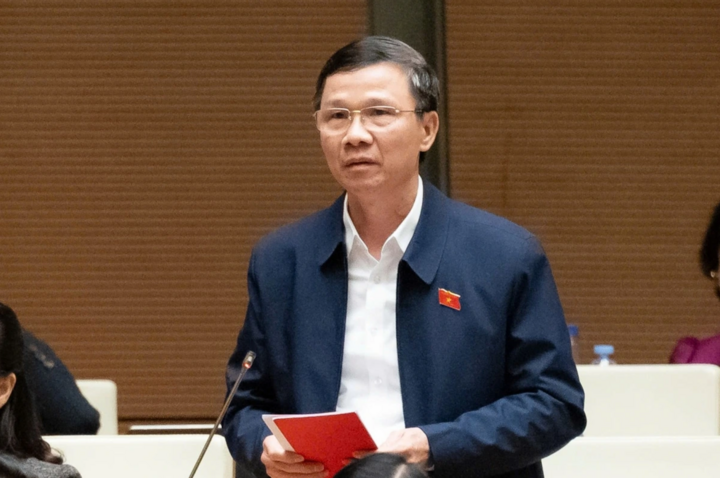 Perwakilan Nguyen Van Thi, delegasi Bac Ninh (Foto: Perhimpunan Kebangsaan)