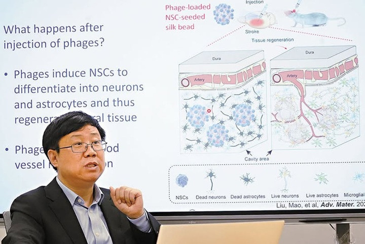 Professor Chuanbin Mao är bland de 2% mest citerade forskarna i världen inom biomedicinsk teknik. (Foto: CUHK)