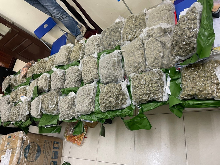 Số cần sa bị thu giữ trong giai đoạn 2.