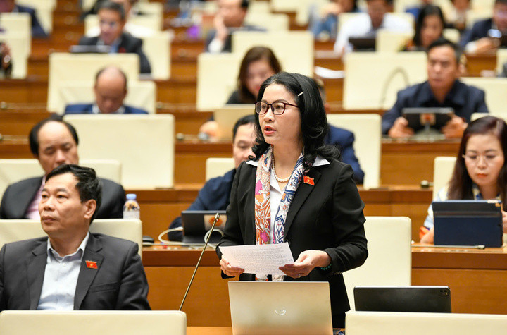 Đại biểu Nguyễn Thị Lan (Đoàn ĐBQH TP Hà Nội, Giám đốc Học viện Nông nghiệp Việt Nam).