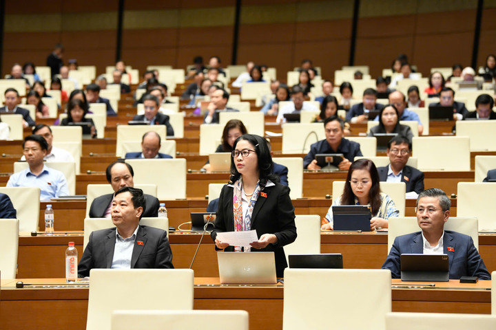 Đại biểu Nguyễn Thị Lan phát biểu.