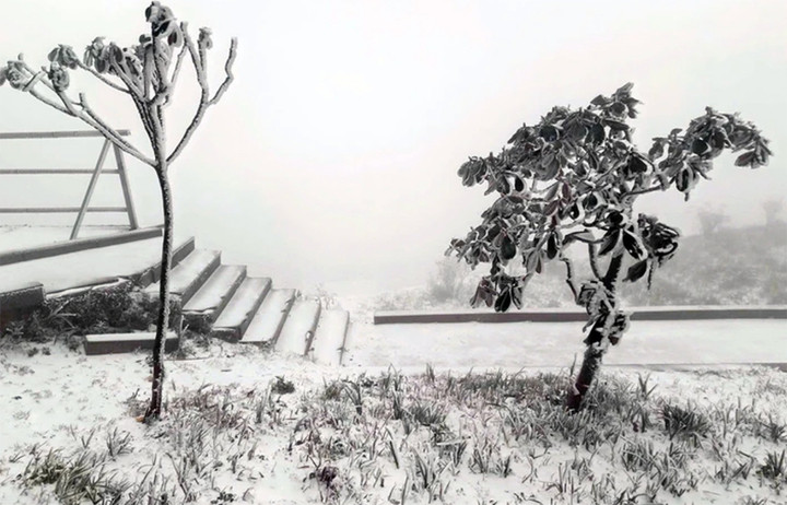 Mùa đông năm nay có thể xuất hiện tuyết. (Ảnh minh hoạ)
