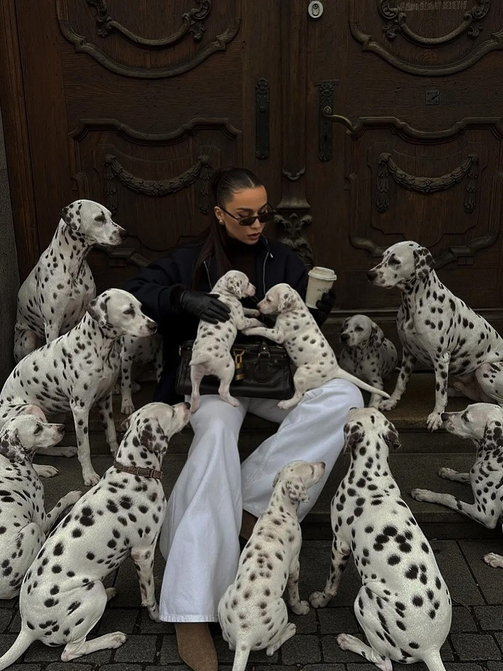 Một người có sức ảnh hưởng được bao quanh bởi những chú chó đốm AI. (Ảnh: Instagram / @anna.wein)