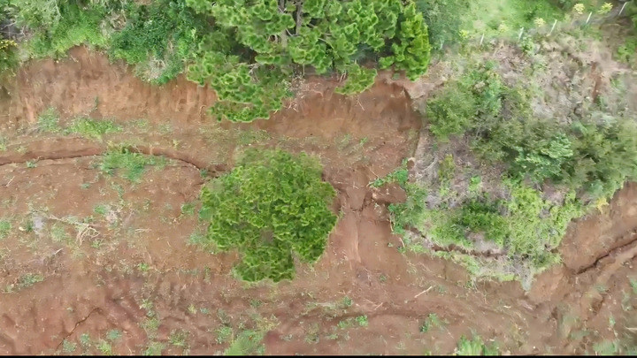 Cơ quan chức năng phát hiện trên đồi Ba Lá Xanh, thôn Lạc Thiện 2, xã D'Ran.