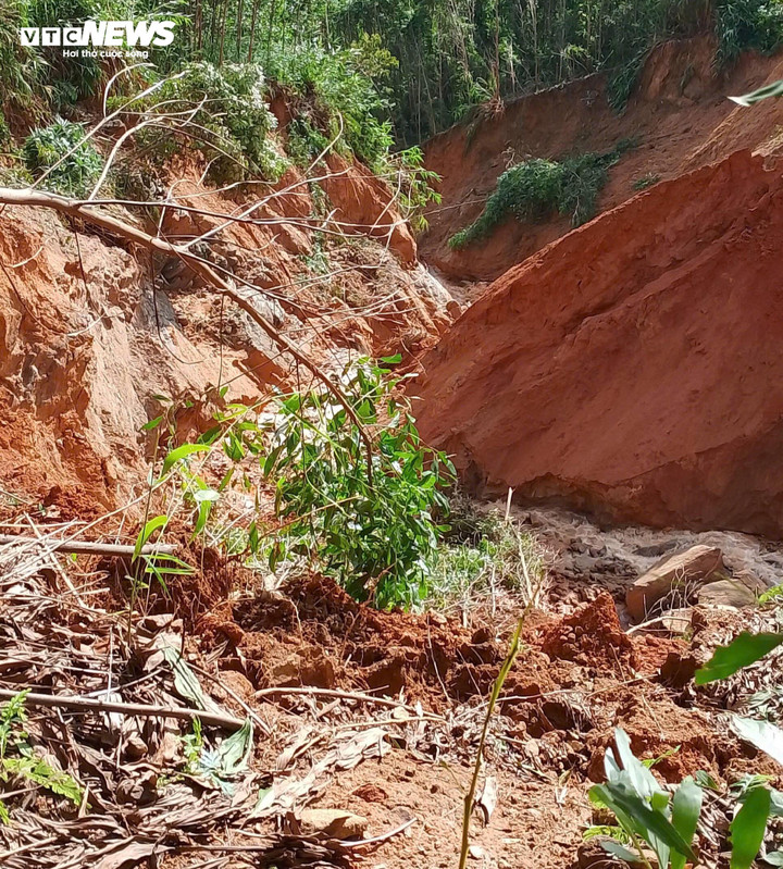 Ông Lê Văn Tuấn - Bí thư Đảng ủy xã Cà Đam - cho hay sạt lở nghiêm trọng nhất là tuyến đường từ trung tâm UBND xã Cà Đam đi thôn Tang (thôn đặc biệt khó khăn). Tuyến đường này dài chỉ 12km nhưng đã xuất hiện 26 điểm sạt lở mái taluy âm và mái taluy dương.