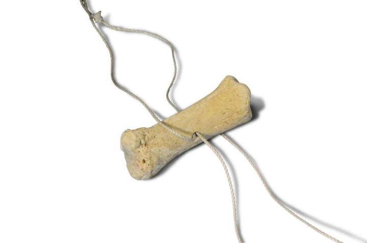 Mô phỏng một loại nhạc cụ được chế tác từ đoạn xương. (Nguồn: Jens Egevad)