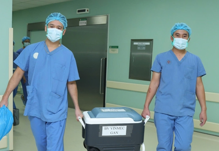 Nhân viên y tế điều phối tạng cho các cơ sở y tế. (Ảnh: BVCC)