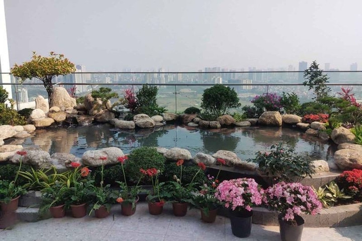 (Ảnh: Sieuthicakoi)