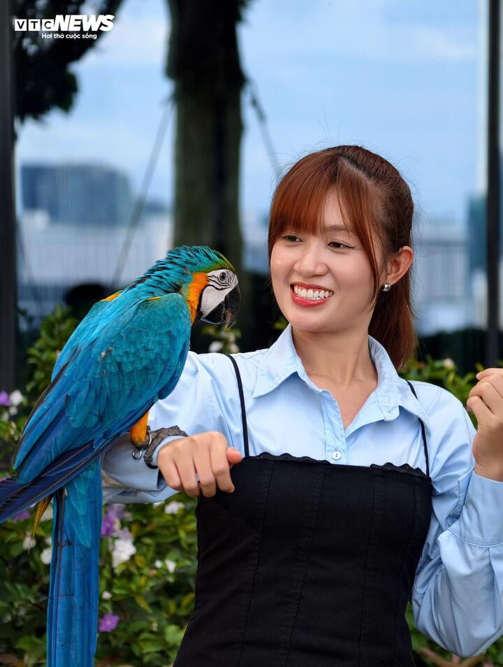 Ảnh chụp với ống kính rời tiêu cự 200 mm cũng giúp chủ thể nổi bật với khả năng xoá phôn ảnh chân dung. (Ảnh: Mạnh Hùng)