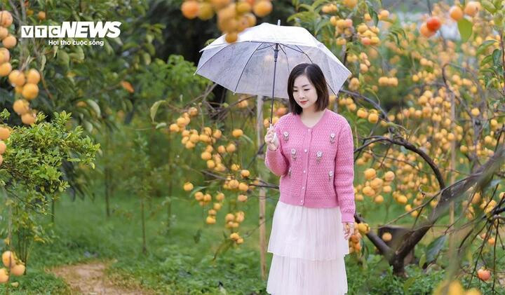 Dự báo thời tiết ngày 26/11, miền Bắc nắng hanh. (Ảnh minh hoạ: Thế Anh - Khánh Duy)