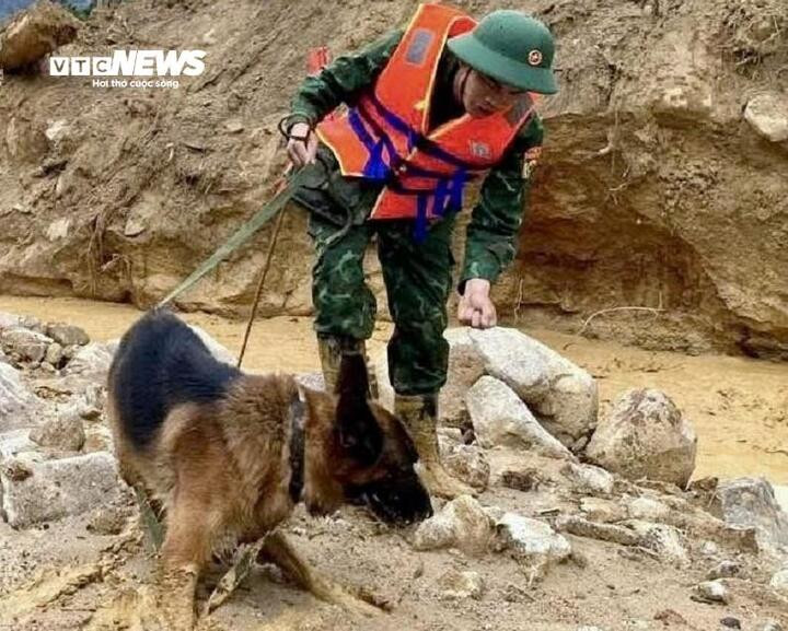 Ngoài hàng trăm cán bộ, chiến sĩ, 3 chó nghiệp vụ vẫn đang túc trực ở hiện trường để tìm kiếm các nạn nhân nghi bị vùi lấp dưới lớp đất đá, bùn nhão - nơi các phương tiện cơ giới khó tiếp cận. (Ảnh: S.H)