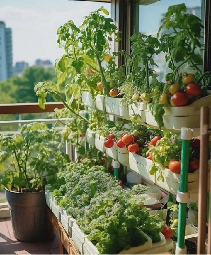 Cây xanh phát triển - một dấu hiệu phong thủy tốt, chứng tỏ môi trường sống đang rất ổn.