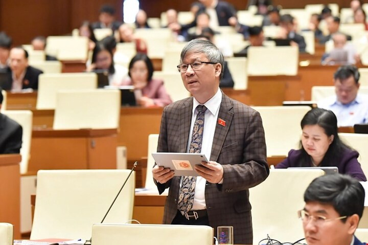 Đại biểu Nguyễn Anh Trí phát biểu.