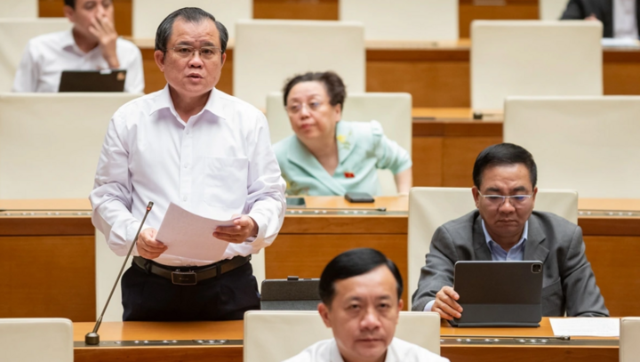 Đại biểu Nguyễn Tâm Hùng (đoàn TP.HCM).