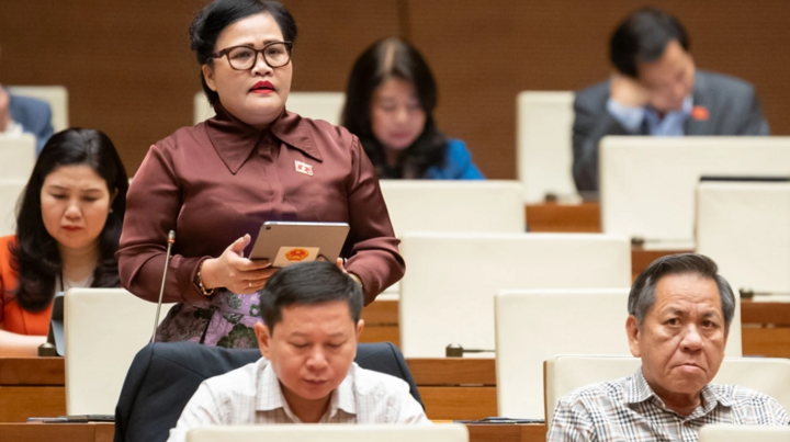 Đại biểu Nguyễn Thị Sửu (đoàn TP Huế).