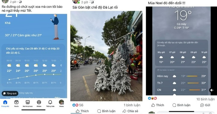 Trên mạng xã hội Facebook, nhiều người dùng thích thú vì không khí Giáng sinh như đang đến sớm.