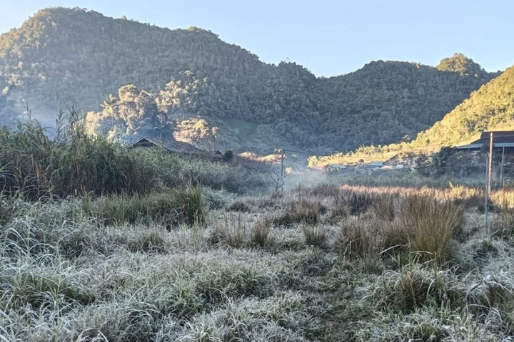 Băng giá và sương muối phủ trắng cây cỏ. (Ảnh: Hải Thượng)