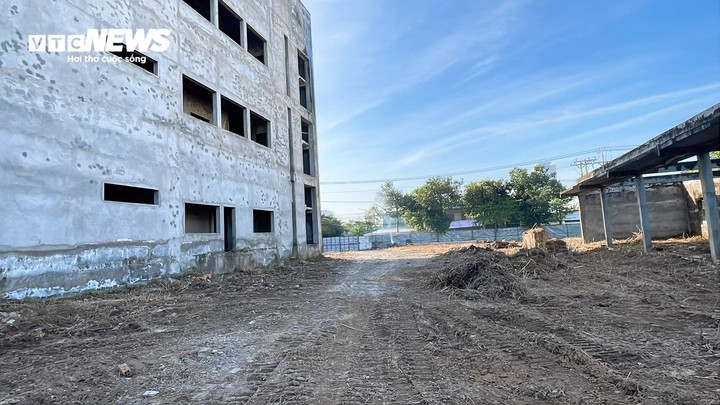 Theo ông Phạm Quang Dũng, cán bộ Ban Điều hành Nhà thầu Tổng công ty Xây dựng Bạch Đằng, đơn vị đã nhanh chóng tiến hành chỉnh trang và dọn dẹp khuôn viên sau nhiều năm chờ đợi dự án triển khai trở lại.