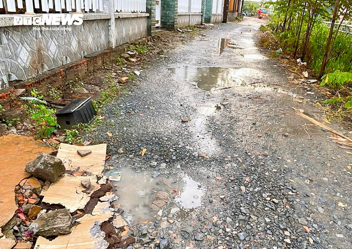 Từ tháng 8/2025, thành phố đã giao thêm cho phường quản lý dịch vụ công ích đô thị và từ 2026 sẽ giao luôn công tác thu gom rác. Khi đó, phường sẽ có nguồn lực, kinh phí tốt hơn để cải thiện vệ sinh môi trường và đảm bảo điều kiện sinh hoạt cho người dân.