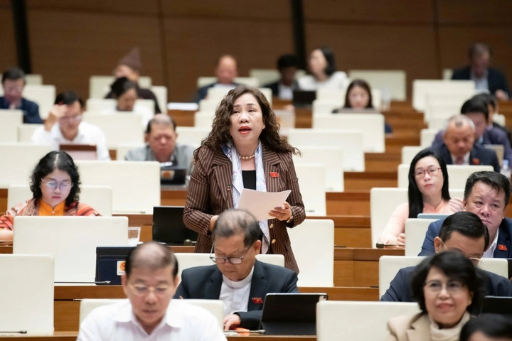 Đại biểu Trần Thị Hiền, đoàn Ninh Bình (Ảnh: Quốc hội)