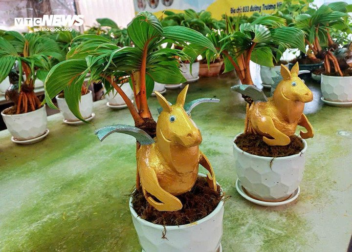 Mẫu dừa bonsai tạo hình ‘Ngựa thiên thần’, sản phẩm dự kiến sẽ bán chạy mùa Tết nhờ tạo hình độc đáo và ý nghĩa may mắn.