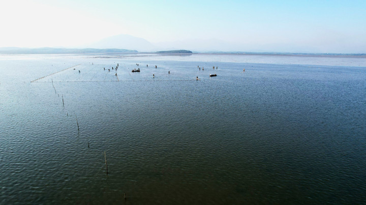 Chính quyền xã Quảng Hà xác định lượng hóa chất lạ chủ yếu bị thả xuống các bãi triều tự phát.