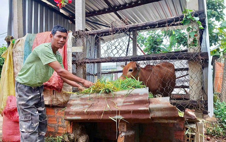 Các xã, phường phía Tây Gia Lai đang dồn lực hỗ trợ sinh kế, nhà ở và việc làm, giúp hộ nghèo tự vươn lên.