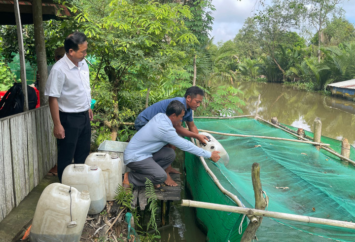 Nhiều mô hình phát triển kinh tế được người dân An Giang đầu tư và mang lại hiệu quả.