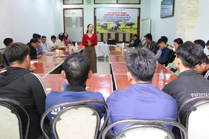 Từ chỗ thiếu kỹ thuật, kinh nghiệm, nay người dân Quảng Ngãi có thêm “chìa khóa” là thông tin giúp họ tiếp cận tri thức để vươn lên thoát nghèo.