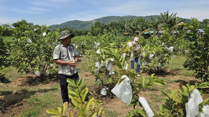 Ở nhiều xã miền núi Quảng Ngãi, thông tin đã trở thành động lực để người dân tự tin thay đổi.