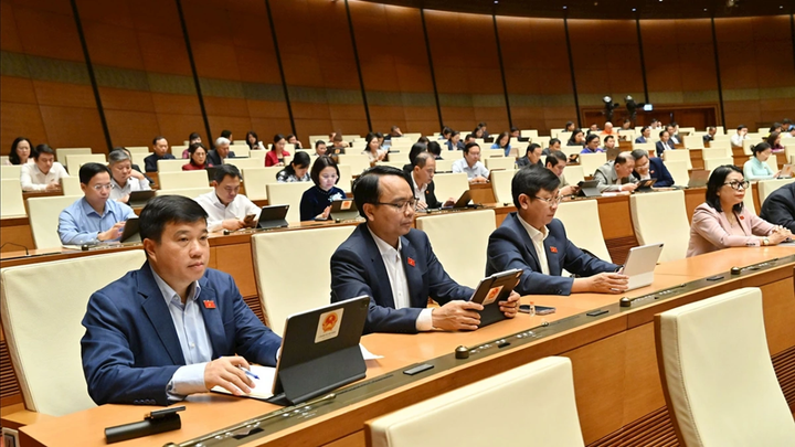 Đề xuất cho phép TP.HCM thành lập khu thương mại tự do - 3