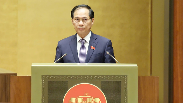 Phó thủ tướng Chính phủ Bùi Thanh Sơn.