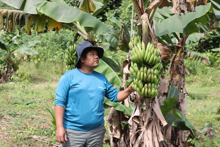 Xã Sông Kôn đang tập trung đa dạng sinh kế cho người dân.