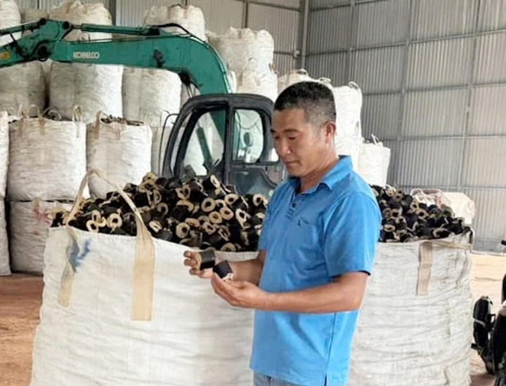 Ông Lê Đức (thôn An Xuân Tây, xã Quảng Điền) thoát nghèo nhờ mô hình chế biến vỏ trấu thành củi đốt.