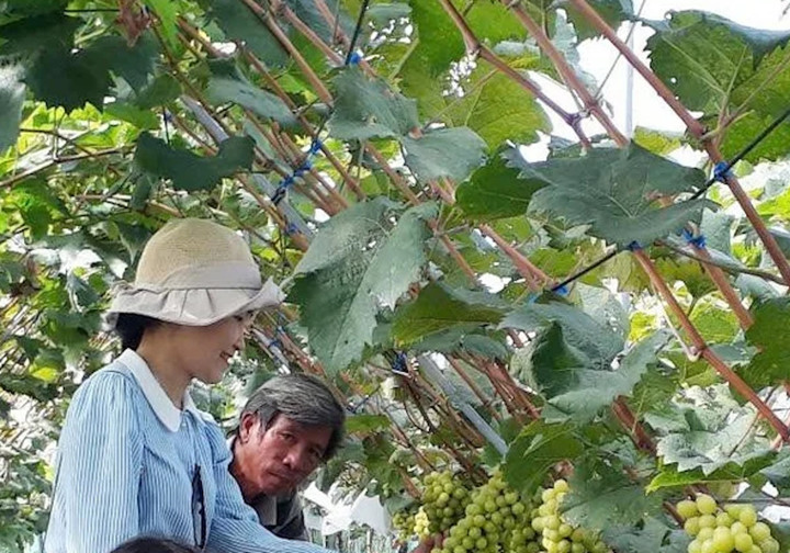 Những mô hình hay giúp gia đình ông Lê Quang Cao không những thoát nghèo mà còn trở nên khấm khá trên chính những thửa đất từng bỏ hoang ở quê hương.