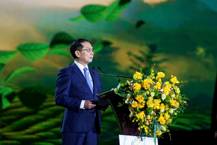 Phó Thủ tướng Chính phủ Bùi Thanh Sơn phát biểu chỉ đạo tại Lễ khai mạc.