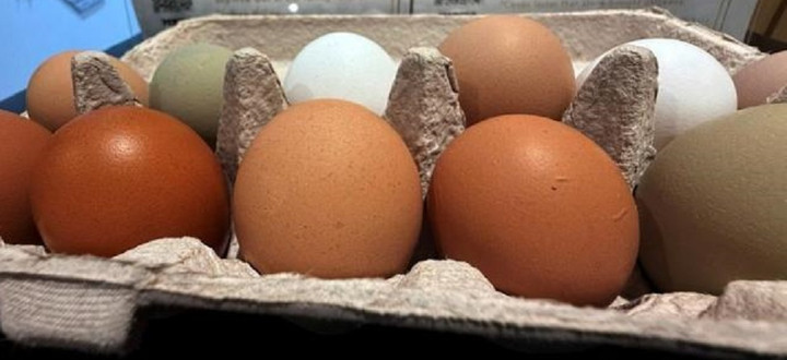 Trứng gà màu nâu tốt hơn màu trắng?