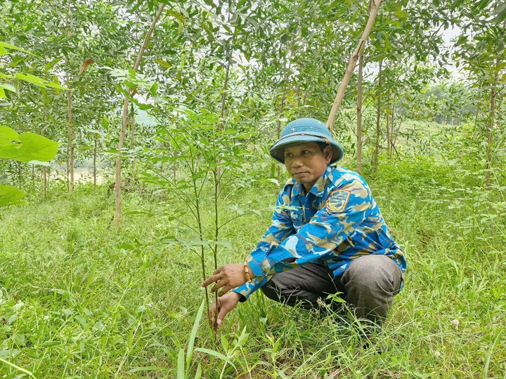 Nhờ nguồn vốn từ các Chương trình mục tiêu quốc gia, bộ mặt kinh tế - xã hội ở miền núi Quảng Nam đã có nhiều khởi sắc.