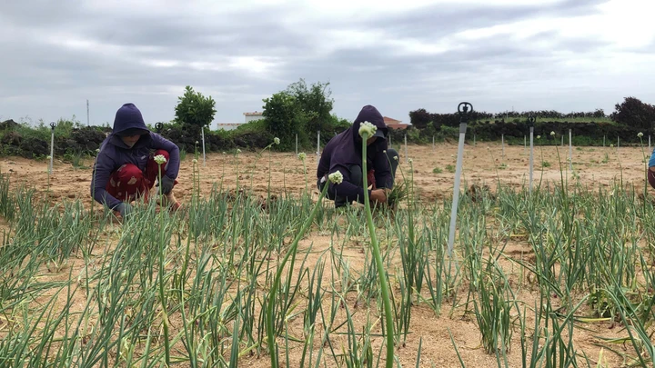 Ngoài việc đào tạo nghề, chính sách hỗ trợ tài chính cũng để giúp người dân cũng được triển khai đồng bộ.