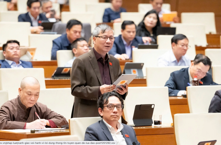 Afgevaardigde Nguyen Anh Tri, delegatie uit Hanoi. (Foto: Nationale Assemblee)