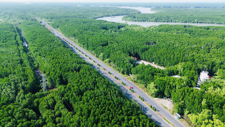 Metro Bến Thành-Cần Giờ sẽ chạy song song với tuyến đường huyết mạch Rừng Sát.