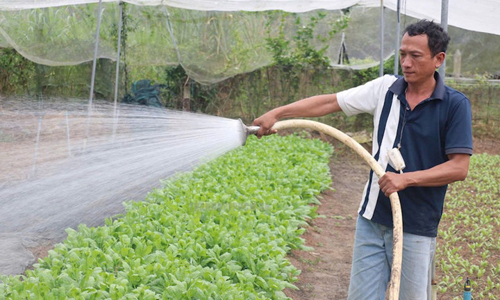 Người dân xã An Phú (TP.HCM) với mô hình trồng rau thoát nghèo.