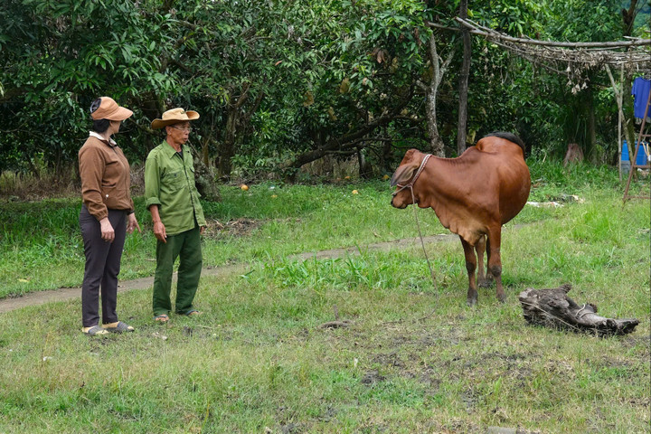 Nhiều mô hình giảm nghèo bền vững ở Lâm Đồng đã tạo chuyển biến rõ rệt trong đời sống các hộ nghèo, cận nghèo, đặc biệt tại vùng sâu, vùng xa.