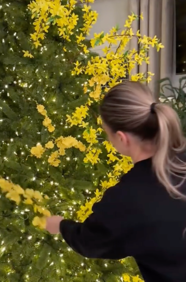 Hài hước trào lưu 'Giáng Xuân' trộn Noel với Tết, dân mạng xem là cười - 5